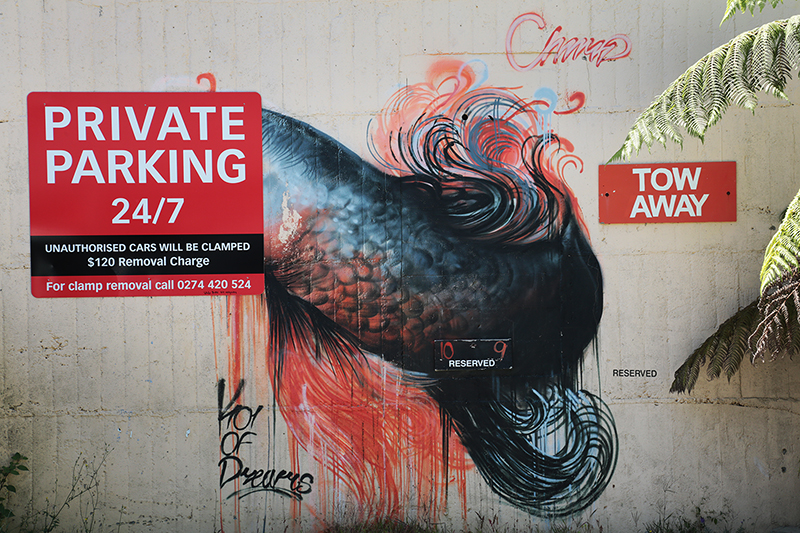 Street Art : New Plymouth : Taranaki : Richard Moore : Journalist : Photographer :